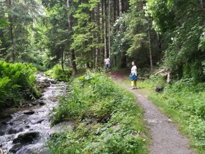 Kursbild