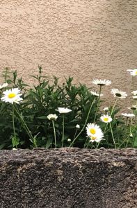 Kursbild